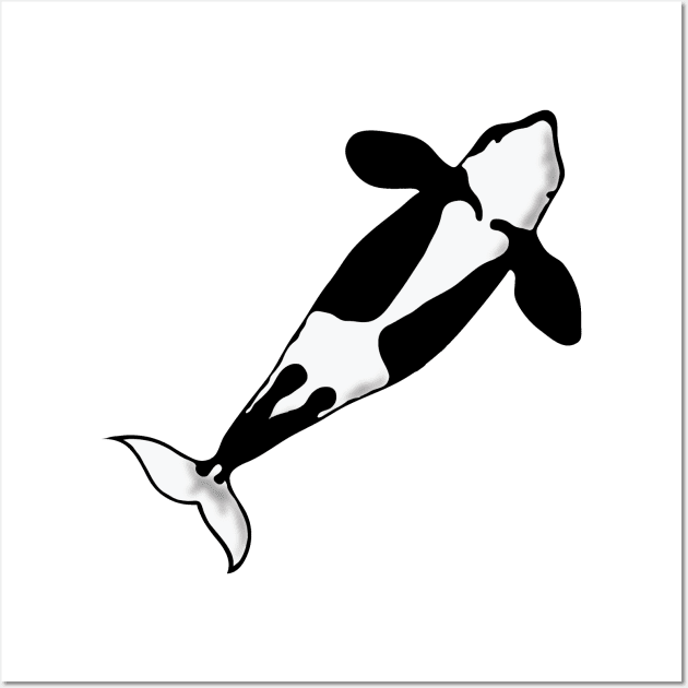 Jumping killer whale orca belly Wall Art by Made the Cut